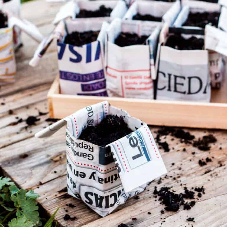 Small pots made from folded newspaper filled with soil are arranged on a wooden surface, with some soil scattered around.